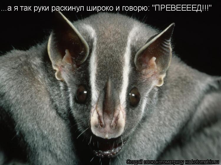 Котоматрица: ...а я так руки раскинул широко и говорю: "ПРЕВЕЕЕЕД!!!"