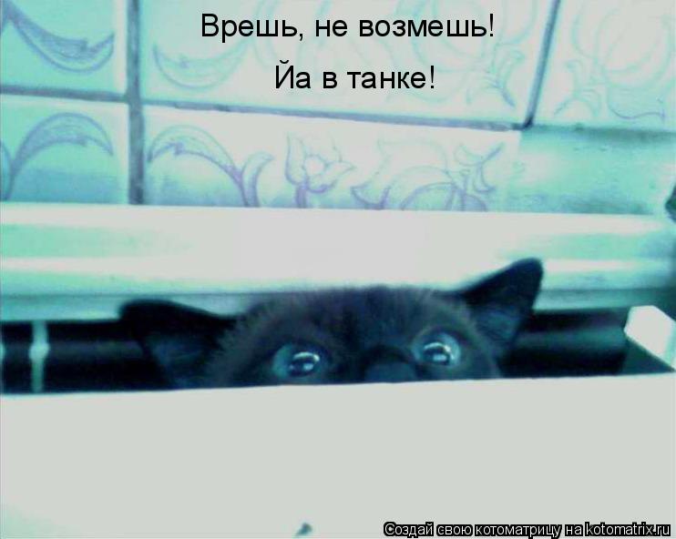 Котоматрица: Йа в танке! Врешь, не возмешь!