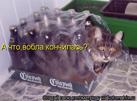 А что,вобла кончилась?... Котоматрица: А что,вобла кончилась?