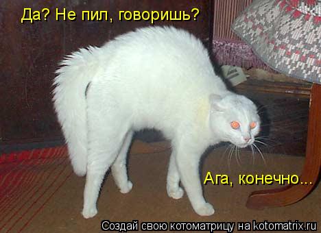 Да? Не пил, говоришь? Ага, конечно...... Котоматрица: Да? Не пил, говоришь? Ага, конечно...