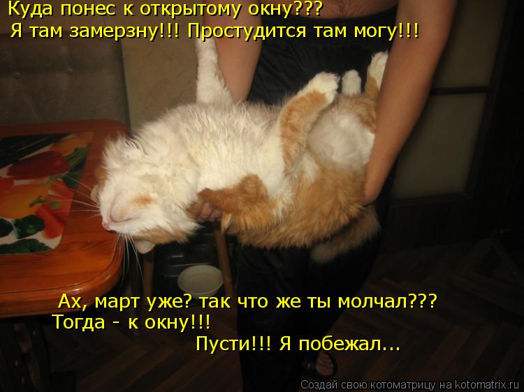 Я там замерзну!!! Простудится там могу!!! Куда понес к открытому окну??? Ах, март уже? так что же ты ... Котоматрица: Я там замерзну!!! Простудится там могу!!! Куда понес к открытому окну??? Ах, март уже? так что же ты молчал??? Тогда - к окну!!! Пусти!!! Я побежал