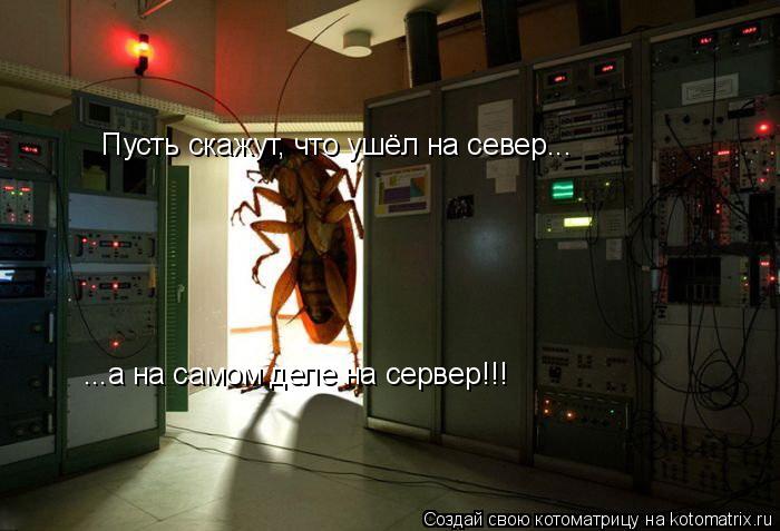 Пусть скажут, что ушёл на север... ...а на самом деле на сервер!!!... Котоматрица: Пусть скажут, что ушёл на север... ...а на самом деле на сервер!!!