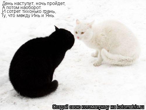 Котоматрица: День наступит, ночь пройдет, А потом наоборот. И сотрет тихонько грань, Ту, что между Инь и Янь.