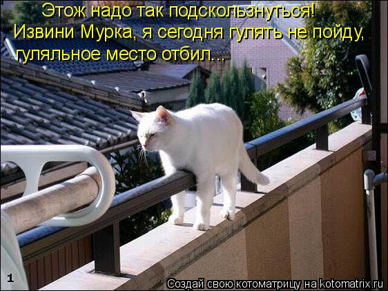 Этож надо так подскользнуться! Извини Мурка, я сегодня гулять не пойду, гуляльное место отбил...... Котоматрица: Этож надо так подскользнуться! Извини Мурка, я сегодня гулять не пойду, гуляльное место отбил...