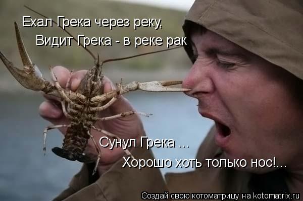 Котоматрица: Хорошо хоть только нос!... Ехал Грека через реку,  Ехал Грека через реку,  Видит Грека - в реке рак Сунул Грека ...