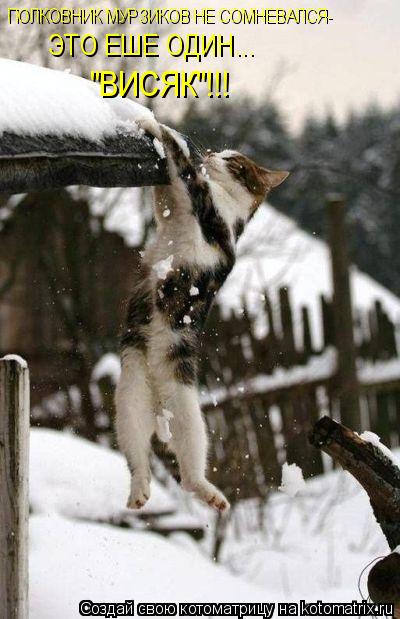 Котоматрица: ПОЛКОВНИК МУРЗИКОВ НЕ СОМНЕВАЛСЯ- ЭТО ЕШЕ ОДИН... "ВИСЯК"!!!