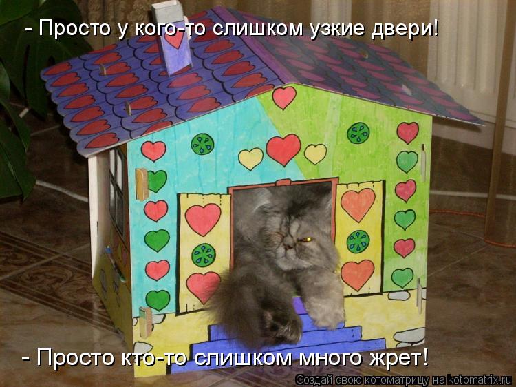 Котоматрица: - Просто у кого-то слишком узкие двери! - Просто кто-то слишком много жрет!