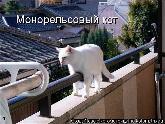 Котоматрица: Монорельсовый кот
