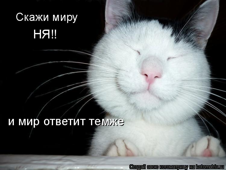 Котоматрица: Скажи миру НЯ!! и мир ответит темже