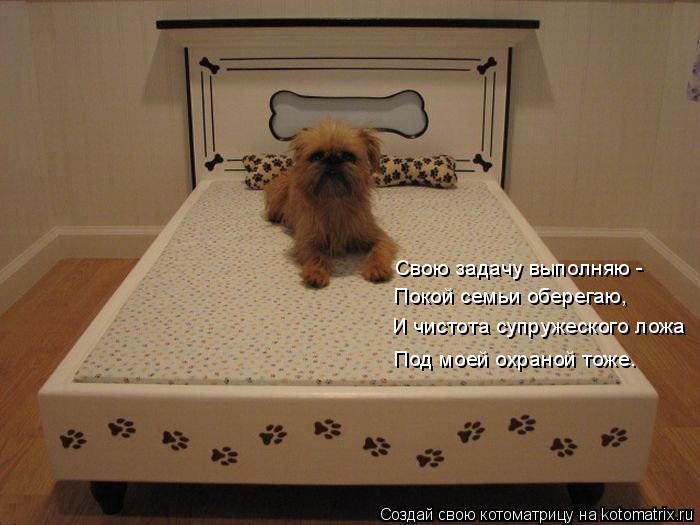 Котоматрица: Свою задачу выполняю - Покой семьи оберегаю, И чистота супружеского ложа Под моей охраной тоже.