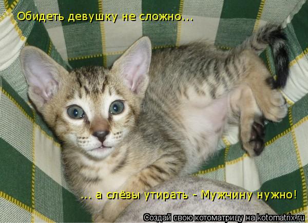 Котоматрица: Обидеть девушку не сложно... ... а слёзы утирать - Мужчину нужно!