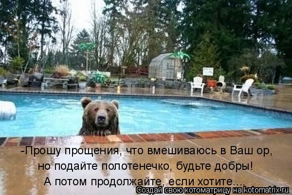 Котоматрица: -Прошу прощения, что вмешиваюсь в Ваш ор,  но подайте полотенечко, будьте добры! А потом продолжайте, если хотите....