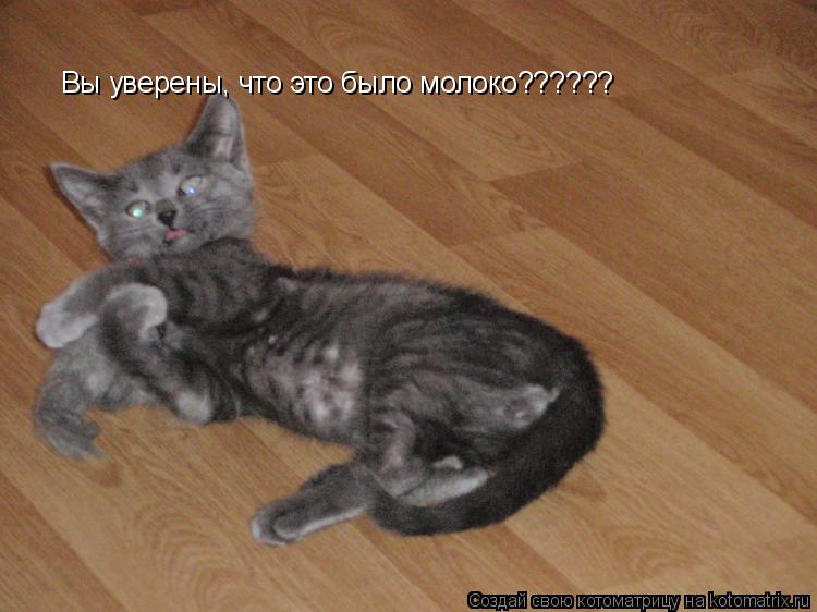 Котоматрица: Вы уверены, что это было молоко??????