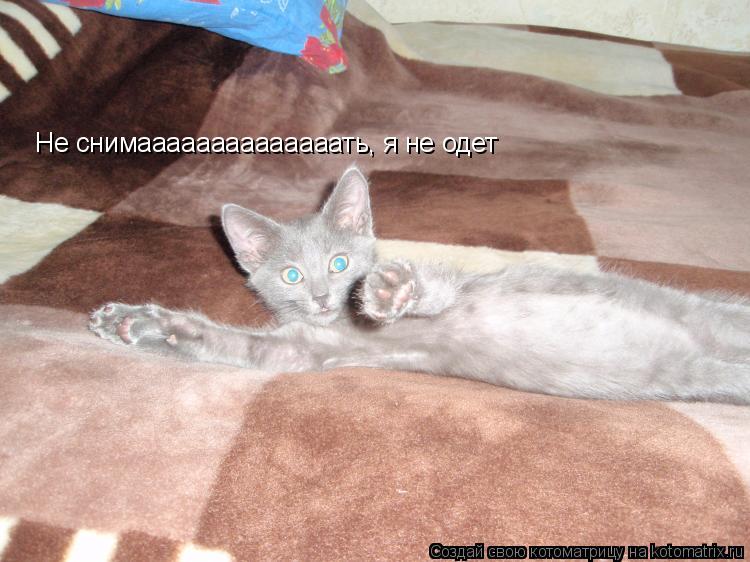 Котоматрица: Не снимаааааааааааааать, я не одет