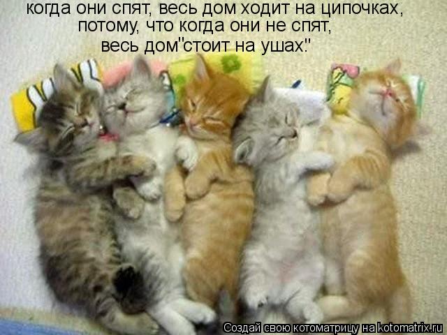 когда они спят, весь дом ходит на ципочках, потому, что когда они не спят, весь дом стоит на ушах. " ... Котоматрица: когда они спят, весь дом ходит на ципочках, потому, что когда они не спят, весь дом стоит на ушах. " "