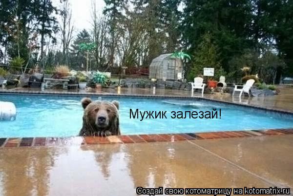 Котоматрица: Мужик залезай!