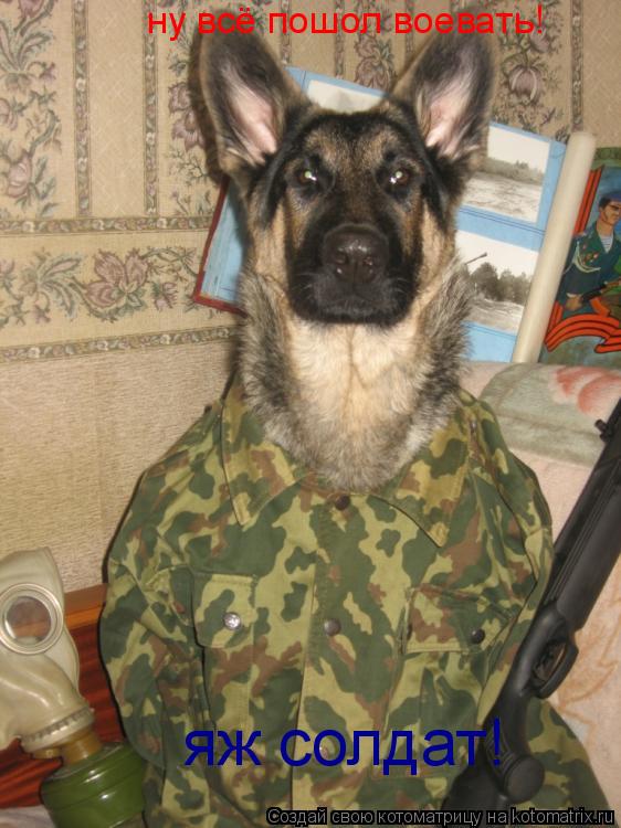Котоматрица: ну всё пошол воевать! яж солдат!