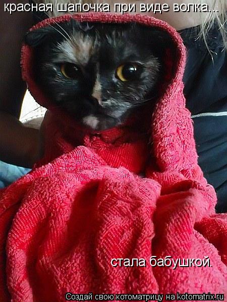 Котоматрица: красная шапочка при виде волка... стала бабушкой.