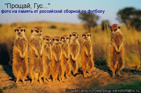 Котоматрица: "Прощай, Гус..." фото на память от российской сборной по футболу