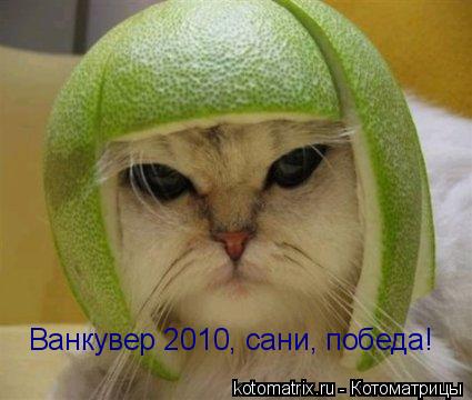 Котоматрица: Ванкувер 2010, сани, победа!