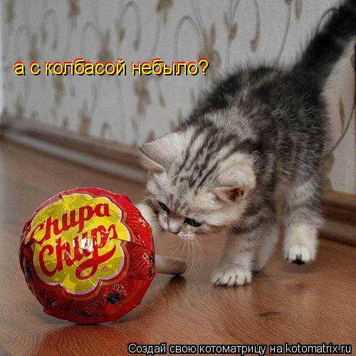 Котоматрица: а с колбасой небыло? а с колбасой небыло?