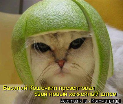 Котоматрица: Василий Кошечкин презентовал  свой новый хоккейный шлем