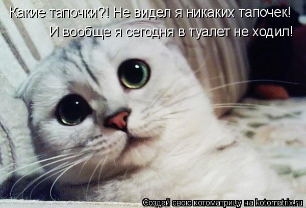 Котоматрица: Какие тапочки?! Не видел я никаких тапочек!  И вообще я сегодня в туалет не ходил!
