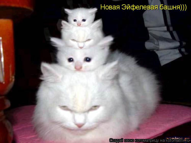 Котоматрица: Новая Эйфелевая башня)))