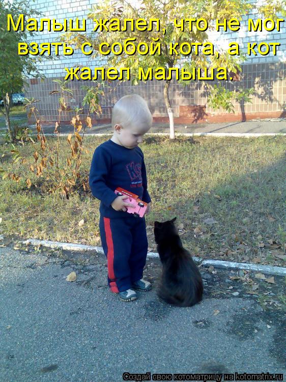 Котоматрица: жалел малыша. взять с собой кота, а кот Малыш жалел, что не мог