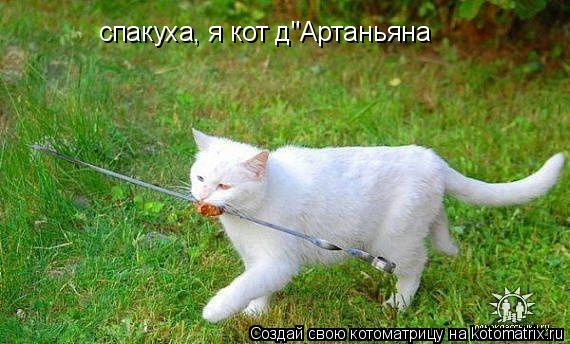 Котоматрица: спакуха, я кот д"Артаньяна