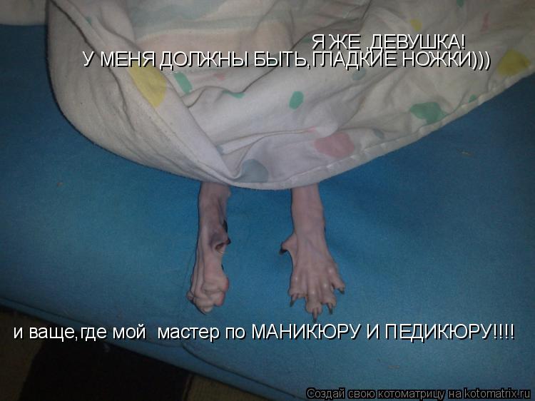 Котоматрица: Я ЖЕ ,ДЕВУШКА! У МЕНЯ ДОЛЖНЫ БЫТЬ,ГЛАДКИЕ НОЖКИ))) и ваще,где мой  мастер по МАНИКЮРУ И ПЕДИКЮРУ!!!!