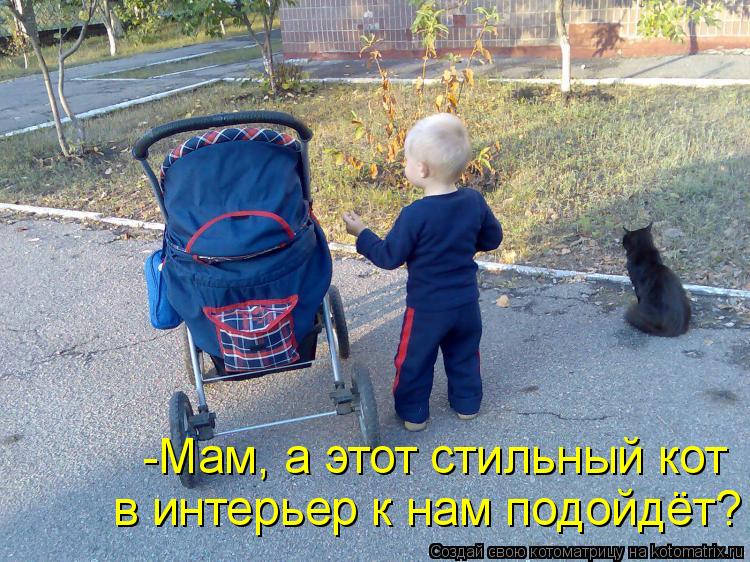 Котоматрица: -Мам, а этот стильный кот в интерьер к нам подойдёт?