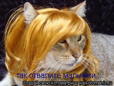 Котоматрица: так отвалите мальчики....