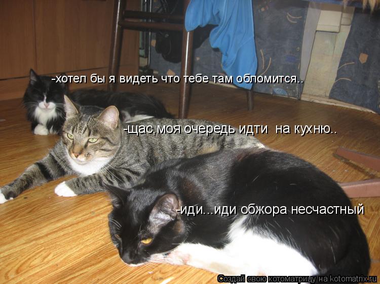 -щас,моя очередь идти на кухню.. -иди...иди обжора несчастный -хотел бы я видеть что тебе там обломи... Котоматрица: -щас,моя очередь идти на кухню.. -иди...иди обжора несчастный -хотел бы я видеть что тебе там обломится..