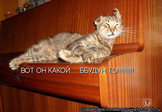 Котоматрица: ВОТ ОН КАКОЙ.....ББУДУН ТО!!!!!!!!