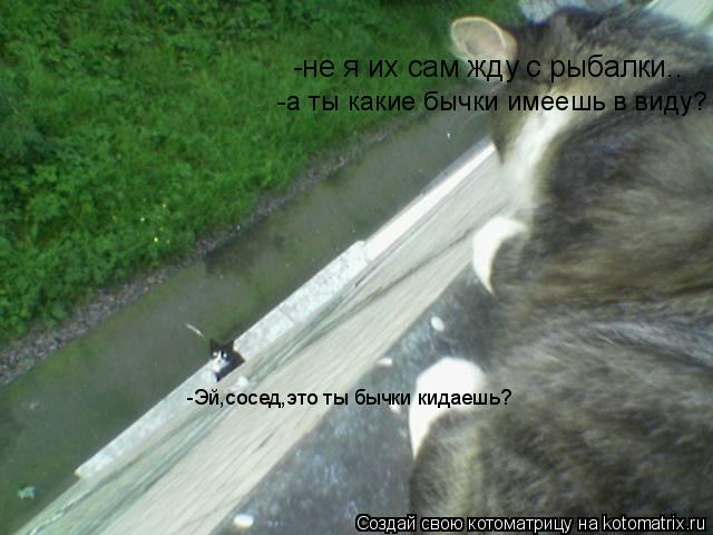 -Эй,сосед,это ты бычки кидаешь? -не я их сам жду с рыбалки.. -а ты какие бычки имеешь в виду?... Котоматрица: -Эй,сосед,это ты бычки кидаешь? -не я их сам жду с рыбалки.. -а ты какие бычки имеешь в виду?