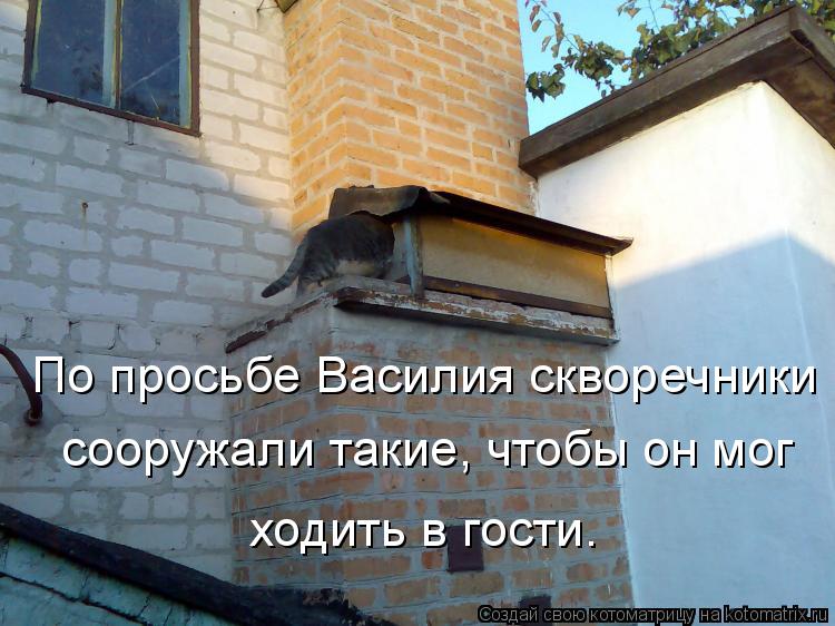 Котоматрица: По просьбе Василия скворечники сооружали такие, чтобы он мог ходить в гости.