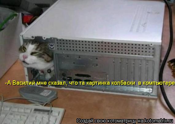 Котоматрица: -А Василий мне сказал, что та картинка колбаски  в компьютере!