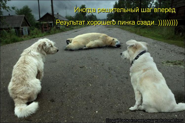 Котоматрица: Иногда решительный шаг вперёд Результат хорошего пинка сзади..)))))))))