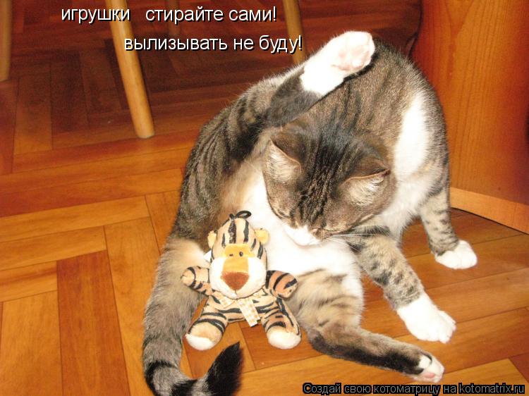 вылизывать не буду! игрушки стирайте сами!... Котоматрица: вылизывать не буду! игрушки стирайте сами!