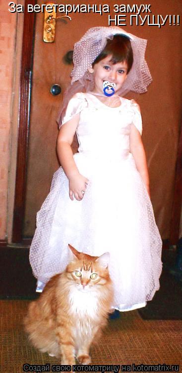 Котоматрица: За вегетарианца замуж За вегетарианца замуж НЕ ПУЩУ!!!