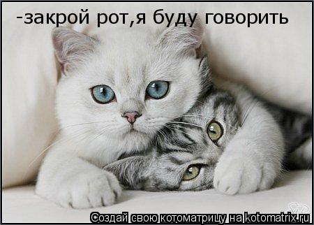 Котоматрица: -закрой рот,я буду говорить