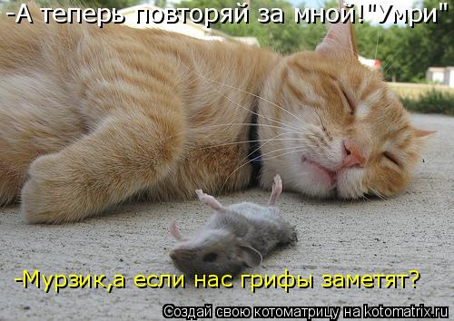 Котоматрица: -А теперь повторяй за мной!"Умри" -Мурзик,а если нас грифы заметят?