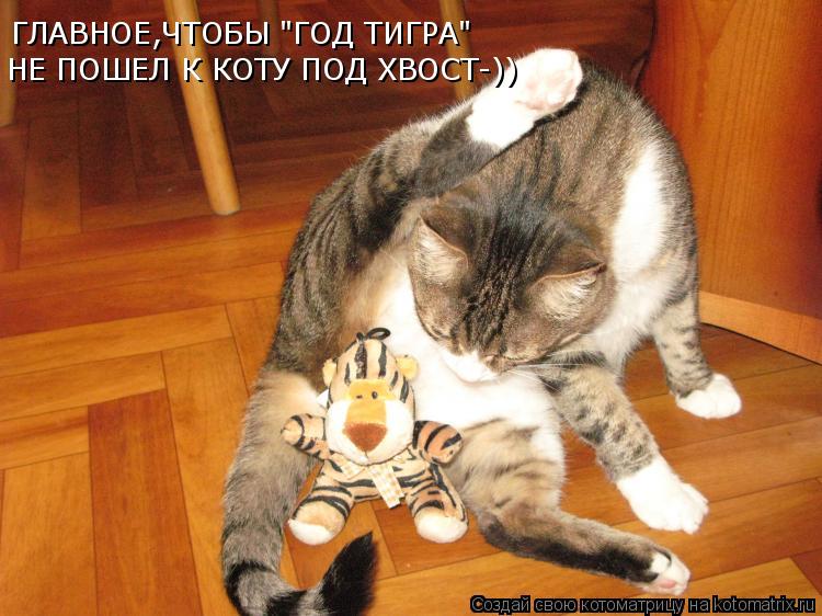 Котоматрица: ГЛАВНОЕ,ЧТОБЫ "ГОД ТИГРА" НЕ ПОШЕЛ К КОТУ ПОД ХВОСТ-))