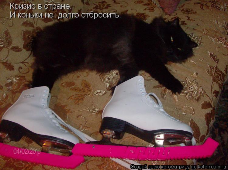 Коньки прикольные