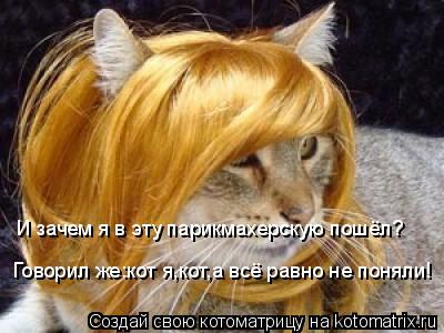 Котоматрица: И зачем я в эту парикмахерскую пошёл? Говорил же:кот я,кот,а всё равно не поняли! И зачем я в эту парикмахерскую пошёл?  Говорил же:кот я,кот,а 