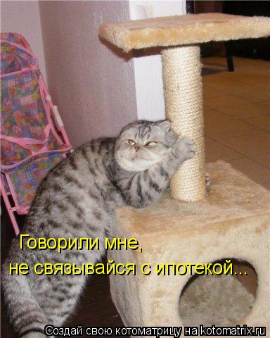 Котоматрица: Говорили мне, не связывайся с ипотекой...