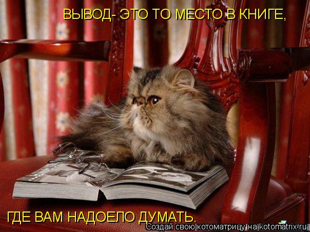 Котоматрица: ВЫВОД- ЭТО ТО МЕСТО В КНИГЕ, ГДЕ ВАМ НАДОЕЛО ДУМАТЬ.