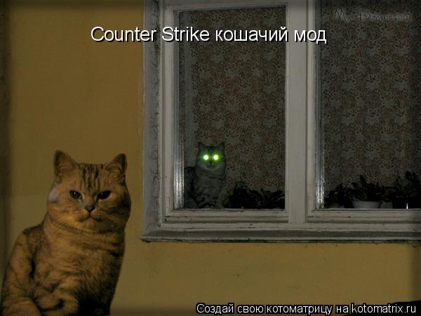 Котоматрица: Counter Strike кошачий мод