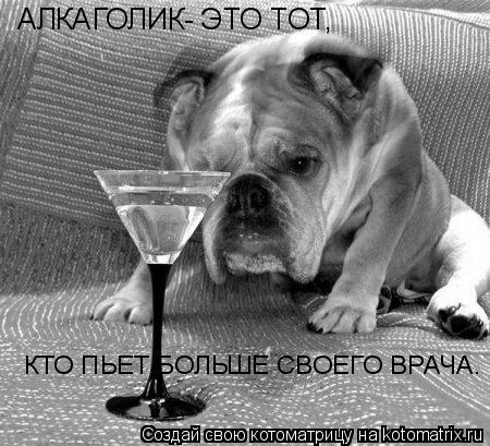 Котоматрица: АЛКАГОЛИК- ЭТО ТОТ, КТО ПЬЕТ БОЛЬШЕ СВОЕГО ВРАЧА.